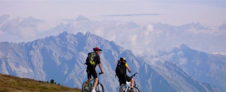 alps mountain biking