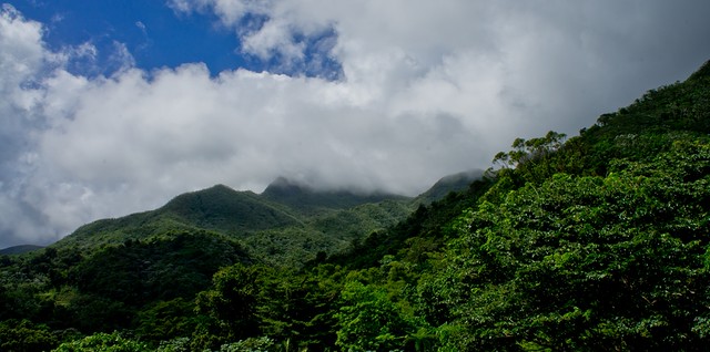 el yunque off the beaten path hiking tour
